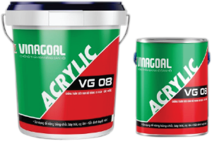 son chong tham da nang dan hoi vinagoal