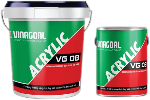 son chong tham da nang dan hoi vinagoal