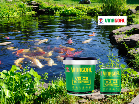 Sơn chống thấm hồ cá chất lượng