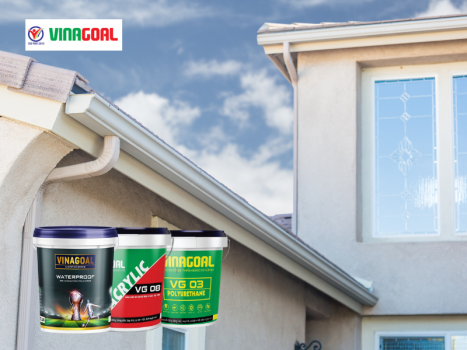 Khái niệm về sê nô?